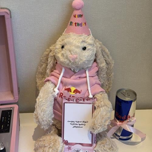 ارنب الريد بول