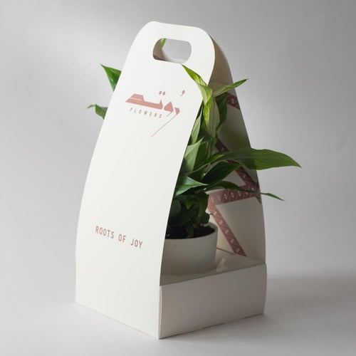 زنبق السلام (Spathiphyllum )