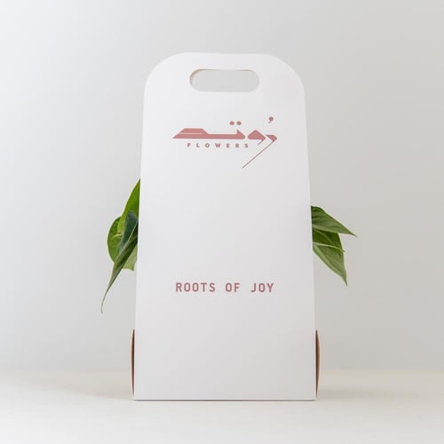 انتوريوم (Anthurium) - وردي