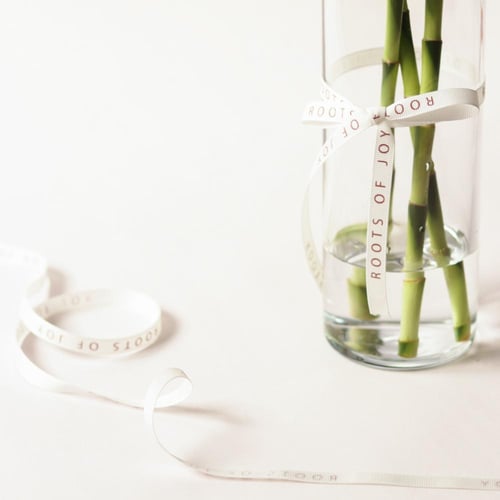 فازة ساق البامبو ( Bamboo ) - صغيرة