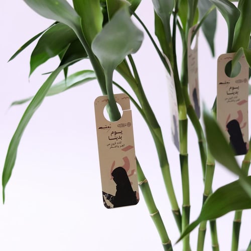 توزيعات يوم التأسيس ( بامبو ) - كبير