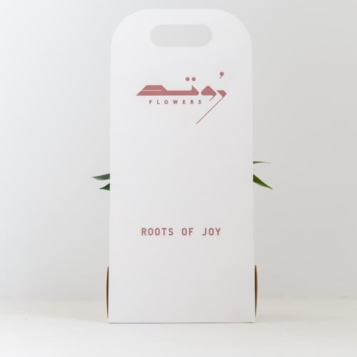 انتوريوم (Anthurium) - أبيض