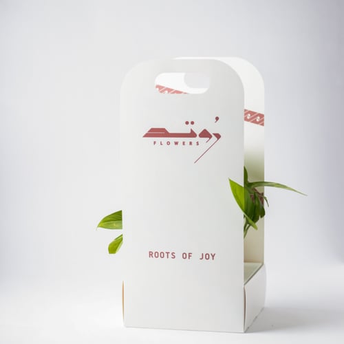 بوتس كبير ( Pothos )