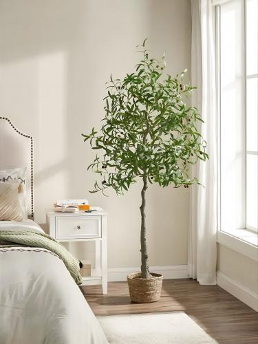 شجرة الزيتون مقاس 180سم