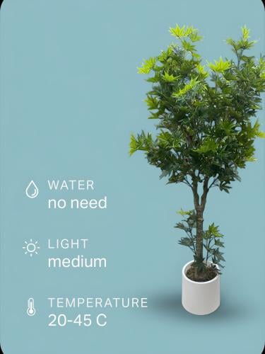 شجرة اوراق العنب