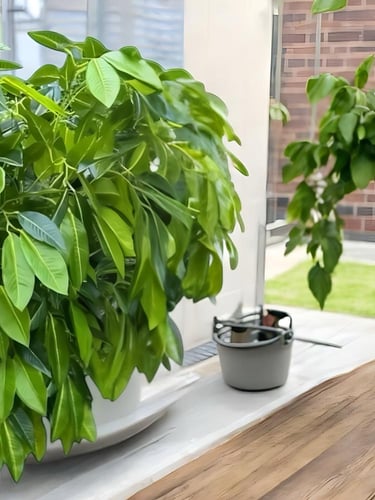 شجرة المانجو الصناعية