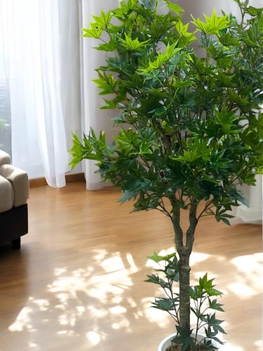 شجرة اوراق العنب