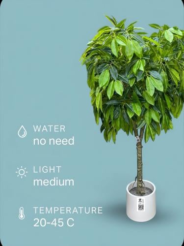 شجرة المانجو الصناعية