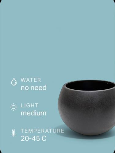 حوض زرع بيضاوي اسود