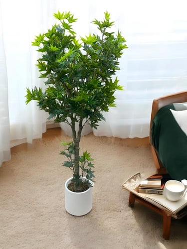 شجرة اوراق العنب