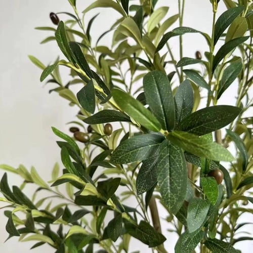 شجرة الزيتون مقاس 180سم