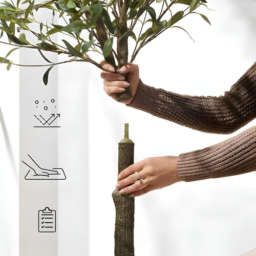 شجرة الزيتون مقاس 180سم