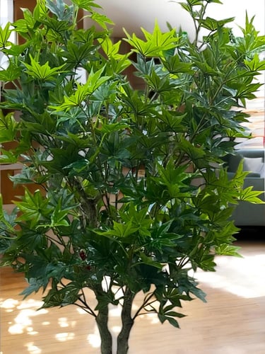 شجرة اوراق العنب