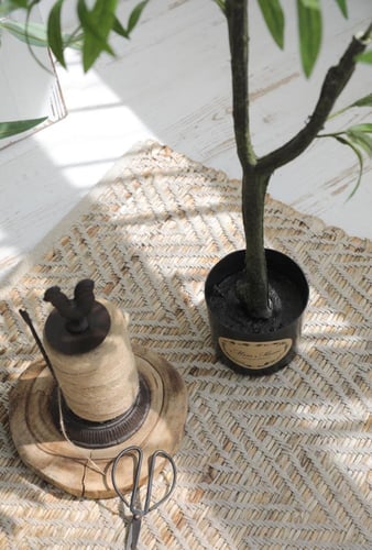 شجرة الزبتون مقاس 150 سم