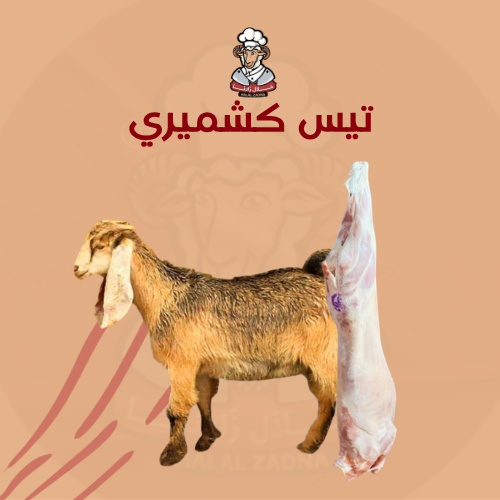 تيس كشميري جذع وزنه من 14-15 كيلو