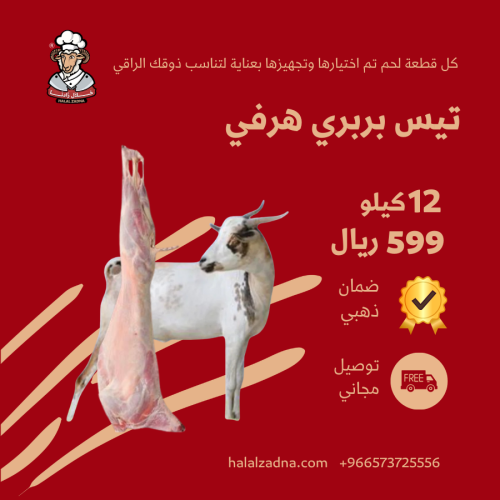تيس بربري جذع وزن 10-12 كيلو
