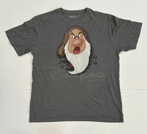 Disneyland Paris T-shirt