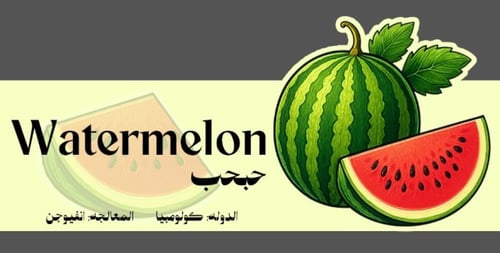 قهوة مختصة كولومبية ( حبحب ) 125 جم