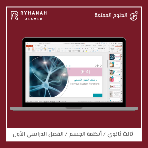 19- وظائف الجهاز العصبي