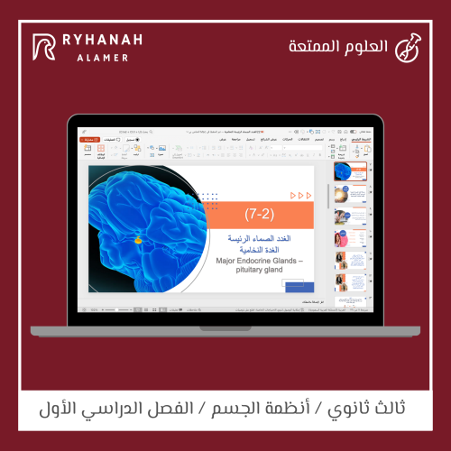 ‎-22 الغدد الصماء الرئيسة الغدة النخامية