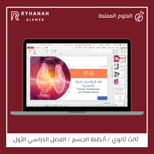 23- الغدة الدرقية وجار الدرقية والصنوبرية