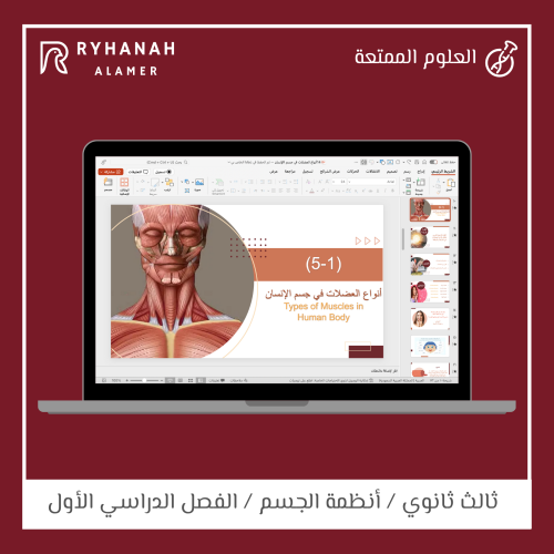 14- أنواع العضلات في جسم االإنسان