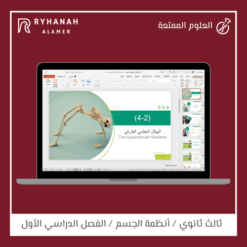 11- الهيكل العظمي الطرفي