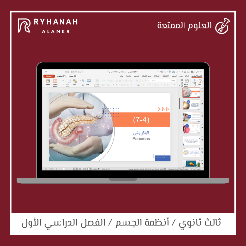 24- البنكرياس