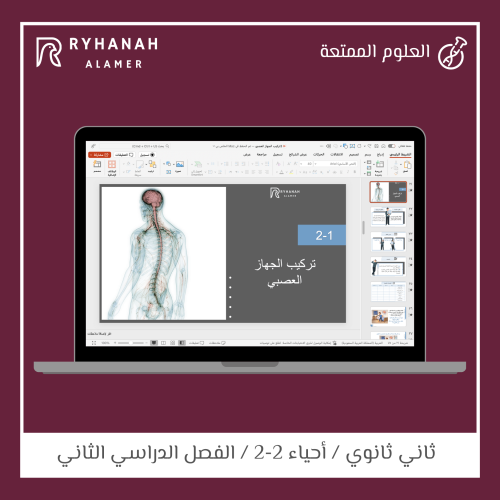 3-تركيب الجهاز العصبي