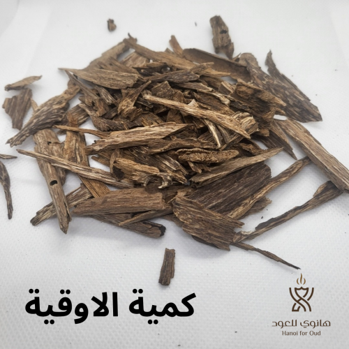 سيسور فيتنامي غابات