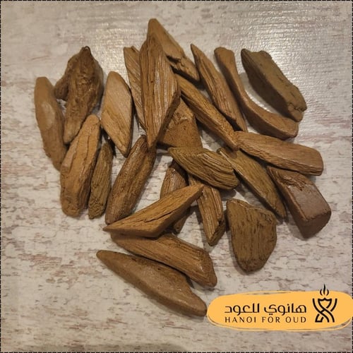 موروكي محسن بيور