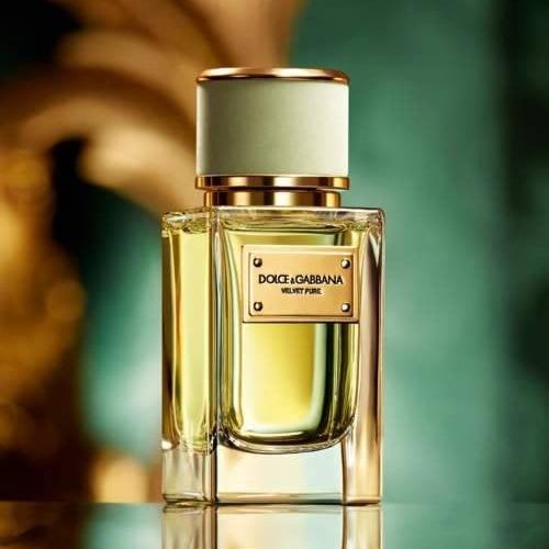 عطر دولتشي اند غابانا فيلفيت بيور dolce and gabban...