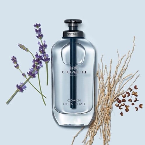عطر كوتش اوبن رود coach open road parfum