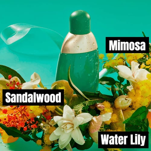 عطر كاشريل ايدن cacharel eden perfume