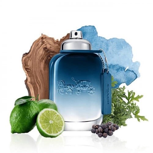 كوتش نيويورك بلو Coach New York Blue parfum
