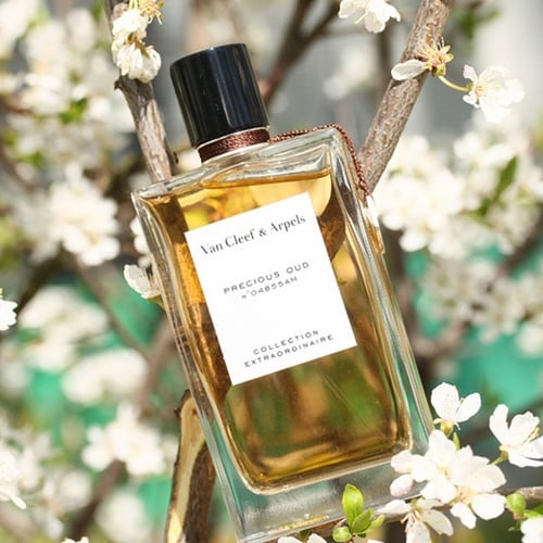 عطر فان كليف بريشوس عود van cleef & arpels preciou...