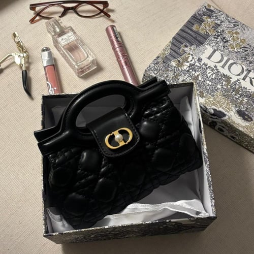 شنطة ديور لونين