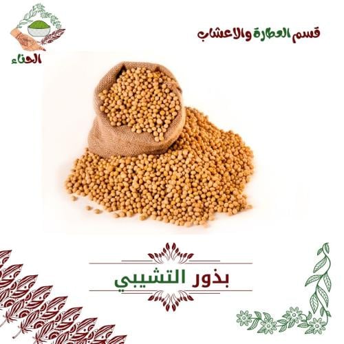بذور التشيبي
