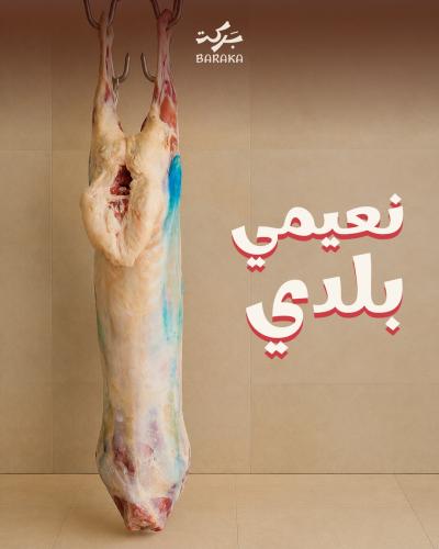 نعيمي بلدي 16 - 18 كيلو