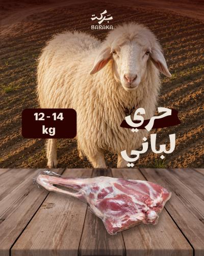 حري لباني 12 - 14 كيلو