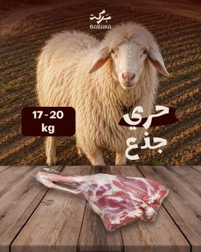 حري جذع 17 - 20 كيلو