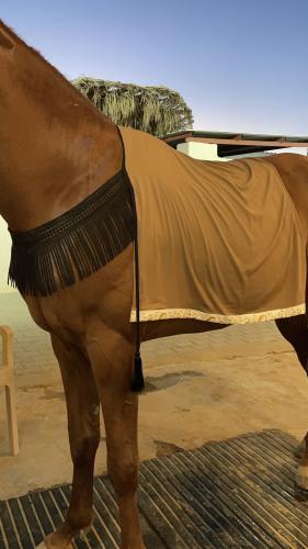قلادة مع جلال خيل