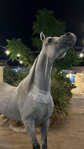 قلادة خيل