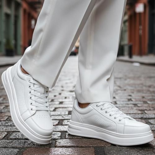 شوز استايلي