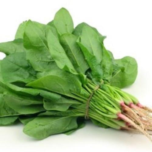 سبانخ _ حزمة