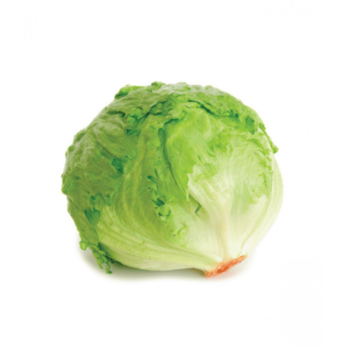 خس مدور -حبه