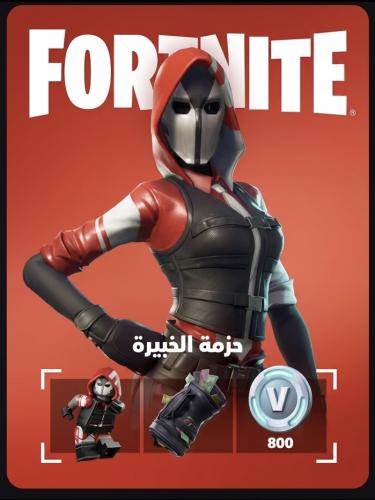 حزمة الخبير