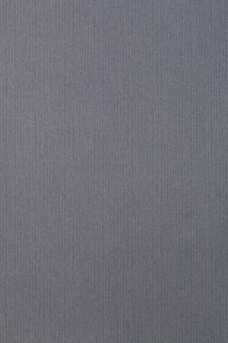 82029