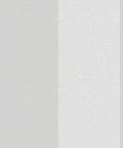 65602