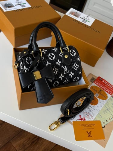 شنطة لويس فيتون